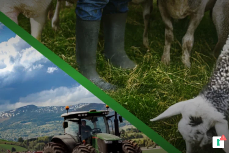 Agrimont 2026