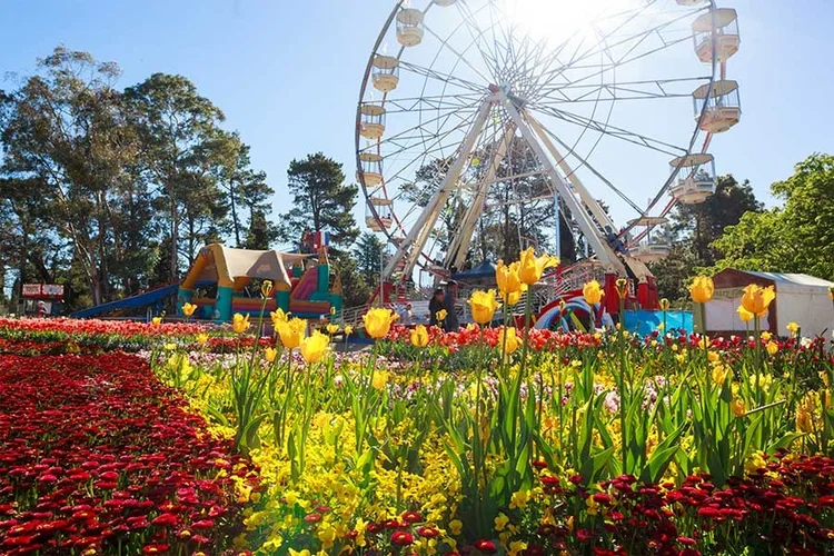 Floriade 2026