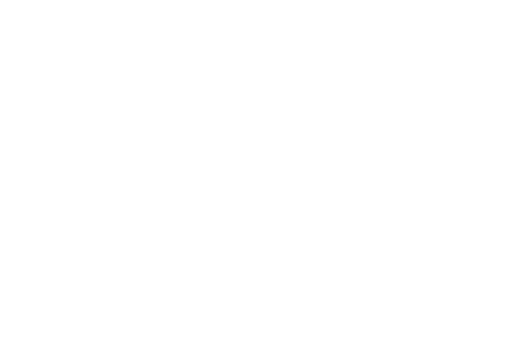 Gem and Mineral Show Tucson 2026